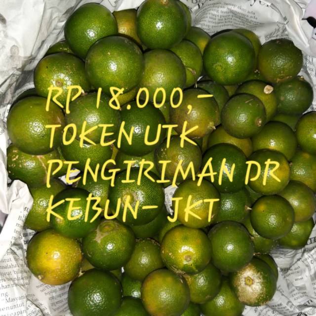 JERUK KUNCI jeruk kitna
