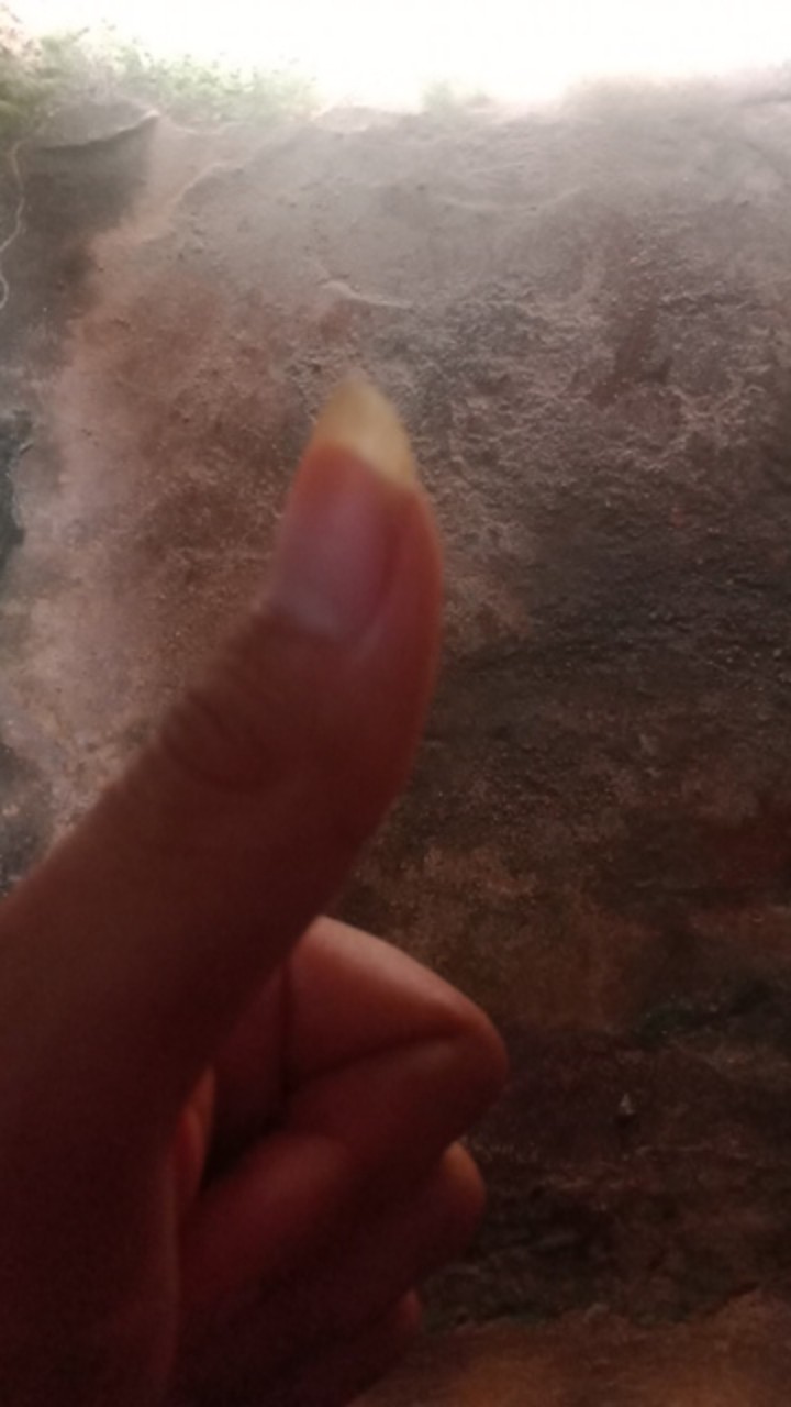 Seragam Batik Cowok Pekalongan / Seragam Atasan Batik Pria Kombinasi Prada Pekalongan