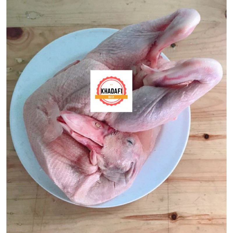 BEBEK PEKING UTUH - DUCK WHOLE PEKING (1,1 - 1,2 KG) KUALITAS SUPER