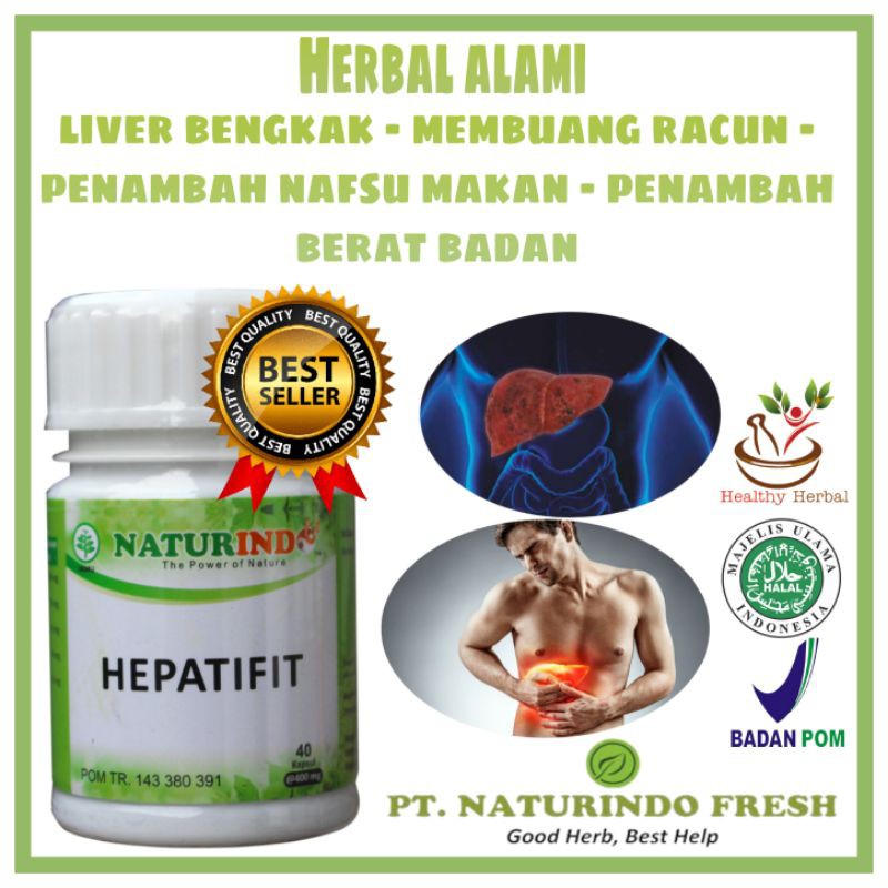 HEPATIFIT obat herbal batu empedu memperbaiki organ hati dan liver nyeri perut kanan dan pencernaan