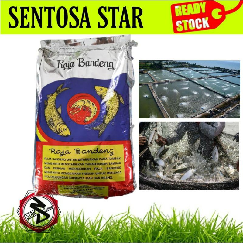 PAKAN IKAN PENUMBUH PLANKTON UNTUK IKAN DAN UDANG- RAJA BANDENG 2,5KG