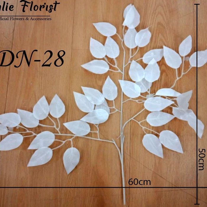 

Daun 28 (1 Bal 12 Pcs)