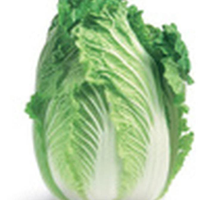 Produk Terlaris Benih Sawi Putih / Chinese Cabbage - Unggulan (Import)