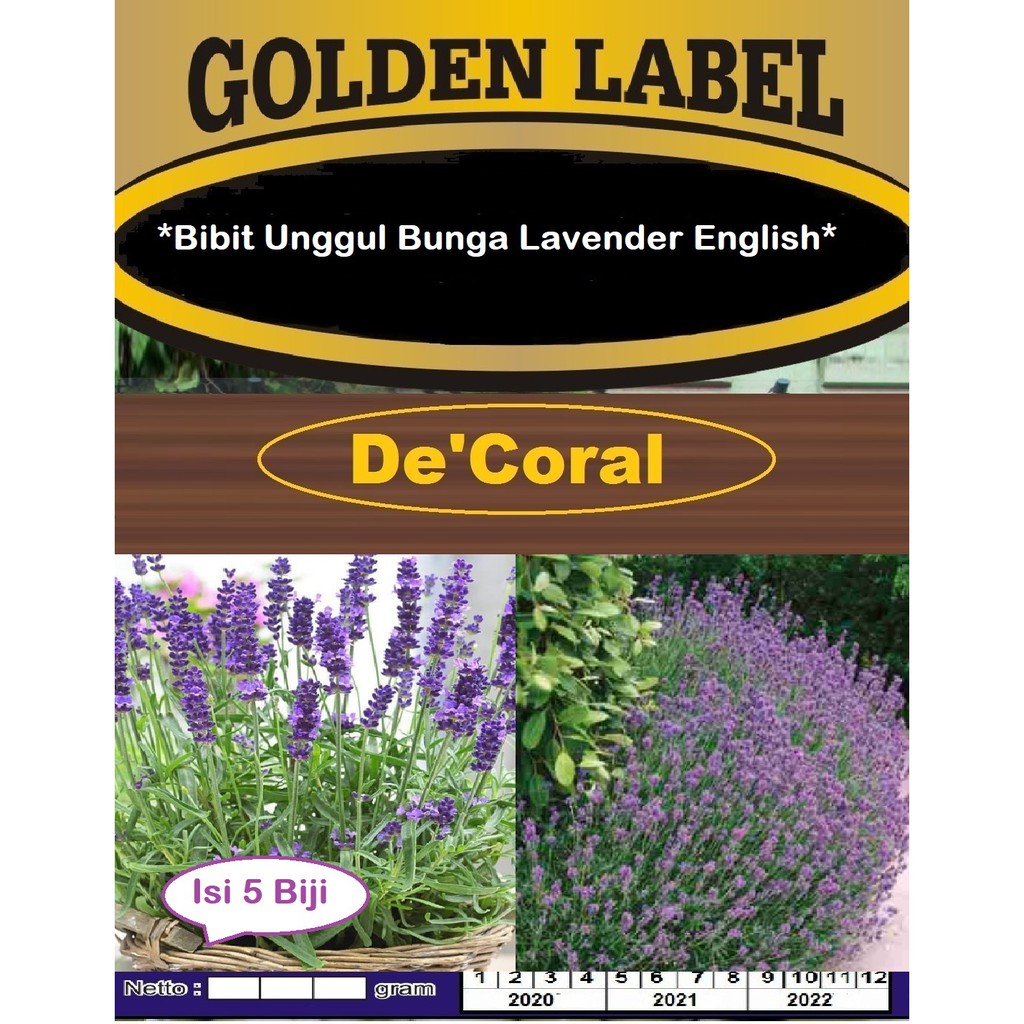 Bibit Unggul Bunga Lavender English | Benih Bunga Lavender English