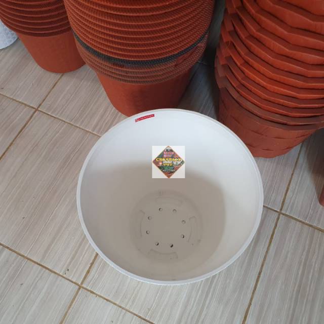 pot bunga tanaman roma putih tinggi 35cm + tatakan putih