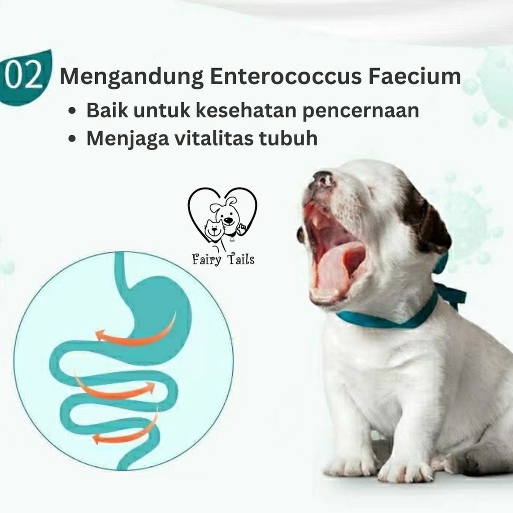 [PREMIUM] Snack Anjing Pudding Susu Kambing BOTH / Goat Milk Pudding Dog Snack