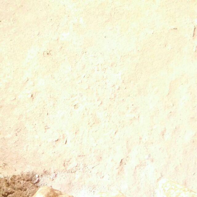 Handuk Leher Champion Bordir 30x90