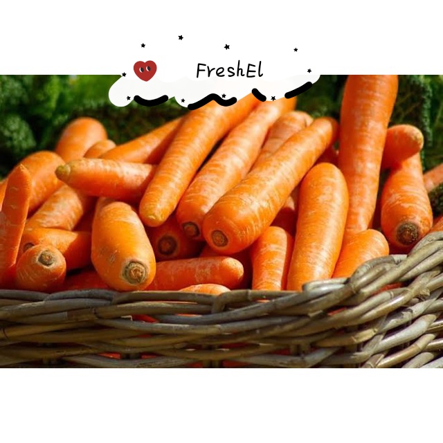 

FreshEl - WORTEL IMPORT 500gr
