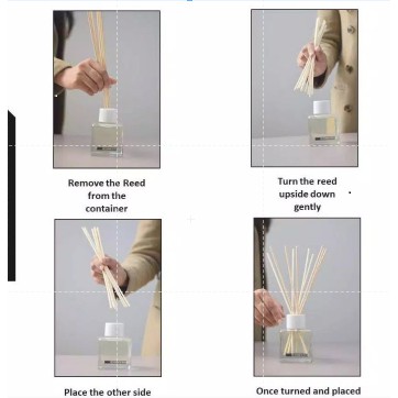 Reed Diffuser Aromatherapy Bunga Difuser Aroma Pengharum Ruangan Pewangi Oil Reed Difuser REED DIFFUSER LOVER'S GRASS REED DIFFUSER REFILL REED DIFFUSER HAMPERS PENGHARUM RUANG AROMATERAPI-6