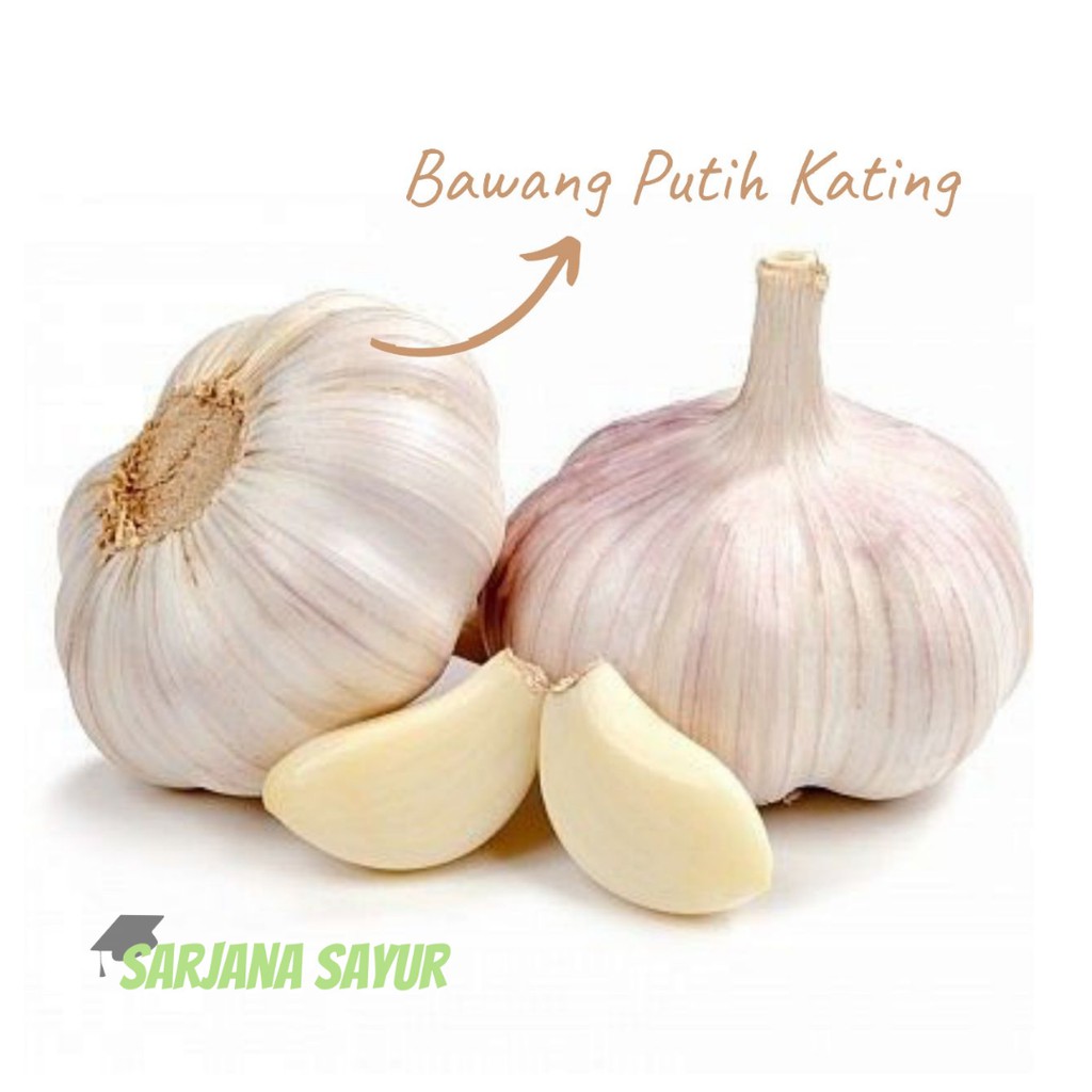 

Bawang Putih Kating 500gr / Sarjana Sayur