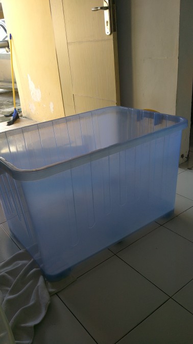 Box Container 135 Liter Transparan