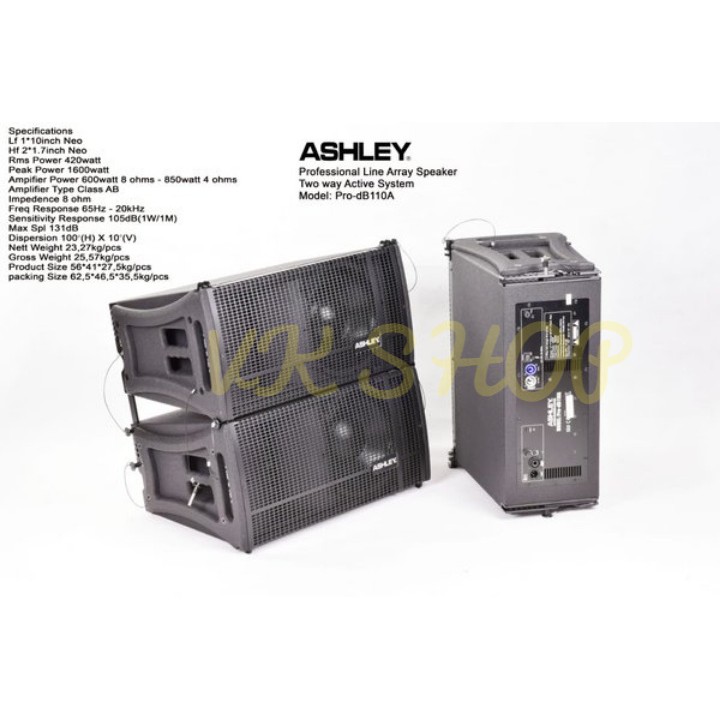 Speaker Line Array Ashley PRO DB110A/ PRODB110A/ PRO DB 110A ORIGINAL