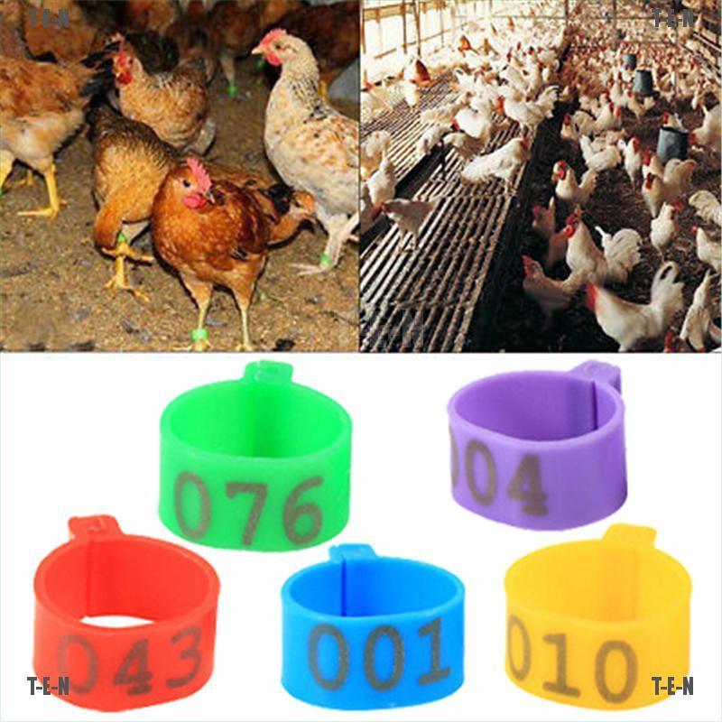 100pcs Cincin Klip On Kaki Ayam Bebek Ukuran 16mm Shopee Indonesia