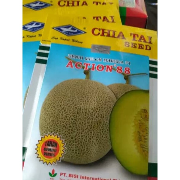 Benih Melon Action 88 F1 (Anti Virus) isi 550 biji