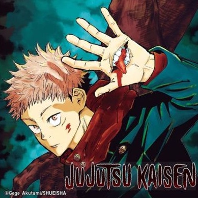 PELUNASAN PHOTO ID JUJUTSU KAISEN BY 99oods