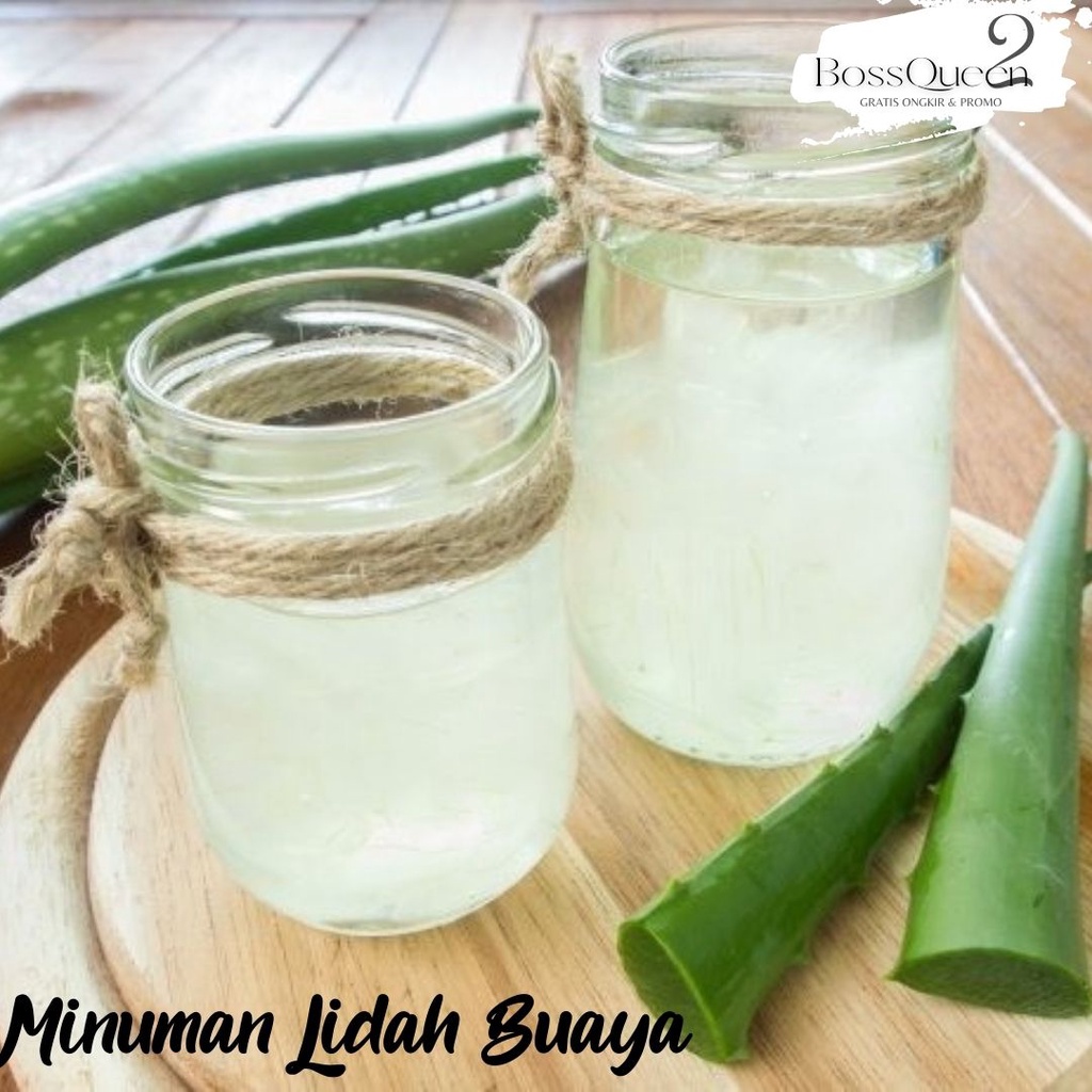 PELEPAH LIDAH BUAYA JUMBO / DAUN LIDAH BUAYA / BIBIT LIDAH BUAYA / MINUMAN LIDAH BUAYA / ALOE KUPAS DIJAMIN BEBAS PEPETISIDA