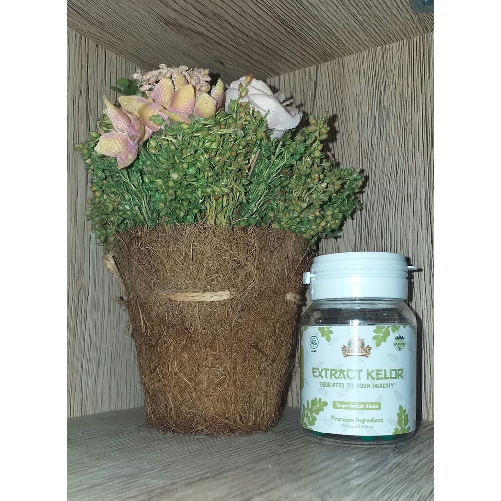 JAMU MILKYMOND EXTRACK DAUN KELOR / MORINGA OLEIFERA 100% HERBAL UNTUK IBU HAMIL &amp; MENYUSUI