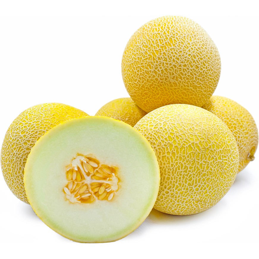 Benih Bibit Biji - Melon Galia F2 (Daging buah sangat manis &amp; harum) Cucumis melo var. reticulatus