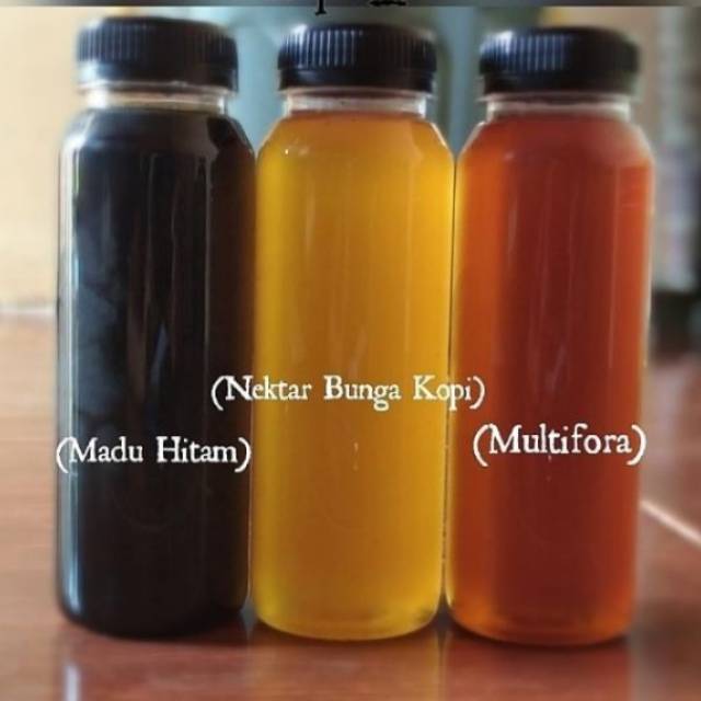 

Madu Asli Hutan Lampung