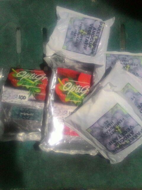 Optigro Strawberry Vegetatif Ab Mix Pupuk Hidroponik Stok 100 Liter