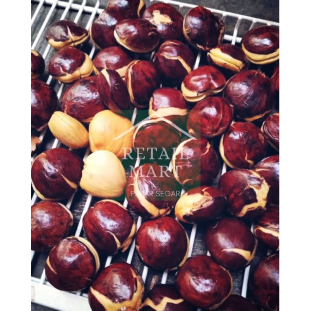 

Jengkol Tua pulen MURAH