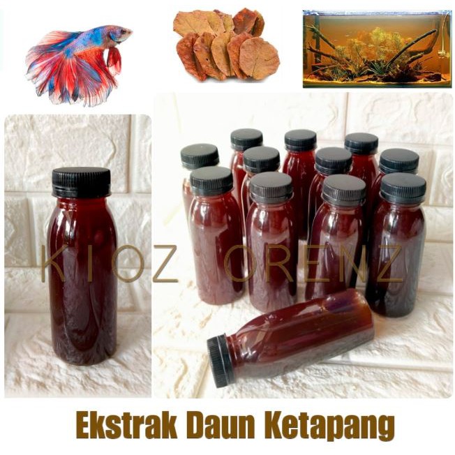 Esktrak Daun Ketapang Obat Ikan Cupang dan Guppy Air Ketapang 100ml Extrak Murni Daun