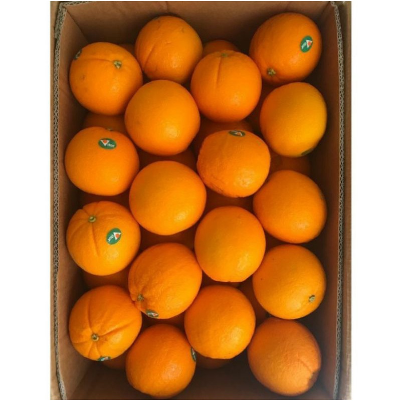 Jual Buah Jeruk Sunkist Navel Australia Fresh Import 1 Dus 18kg