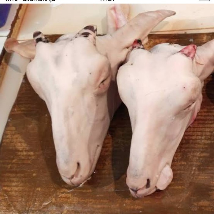 

Kepala Kambing Fresh [1pcs]