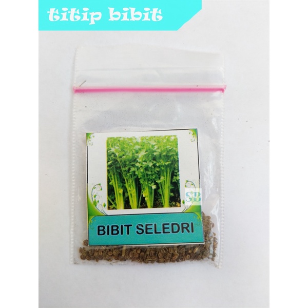 Benih Sayur Selerdri Super 50 Seed