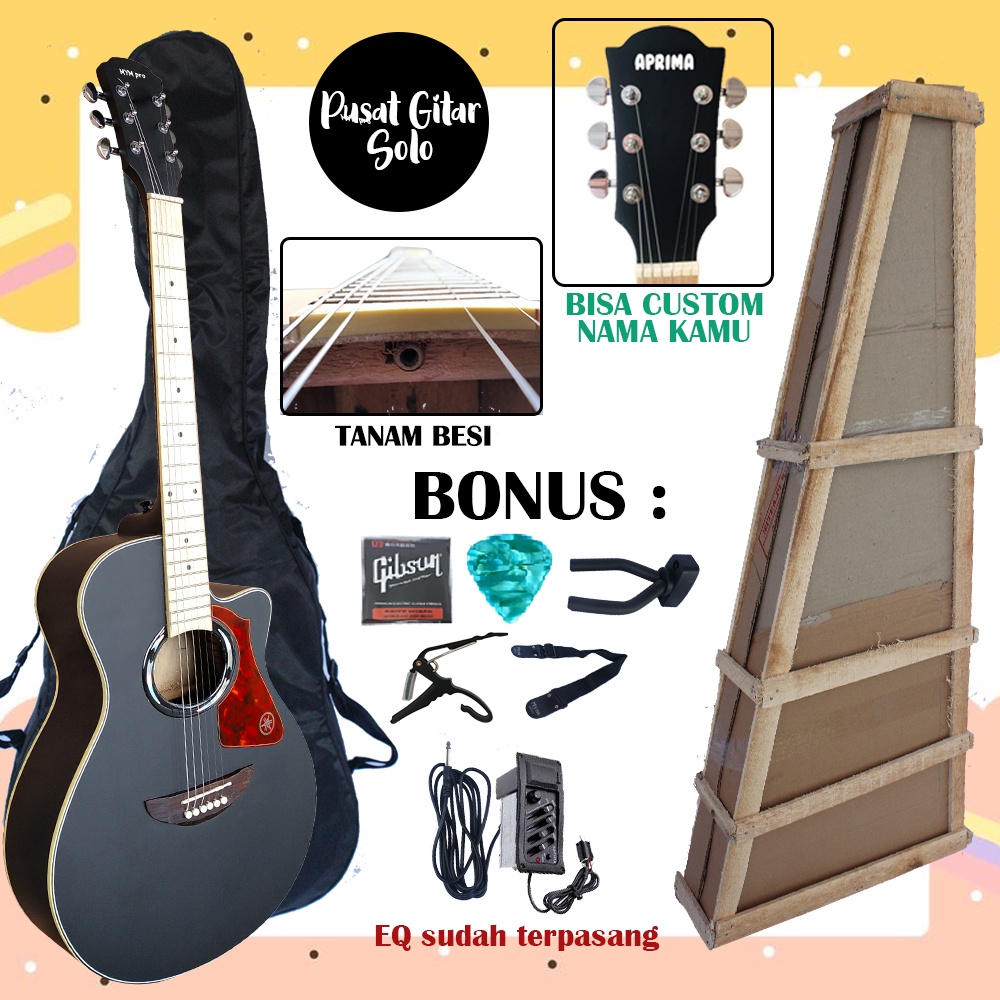 Gitar Akustik Elektrik Apx Custom