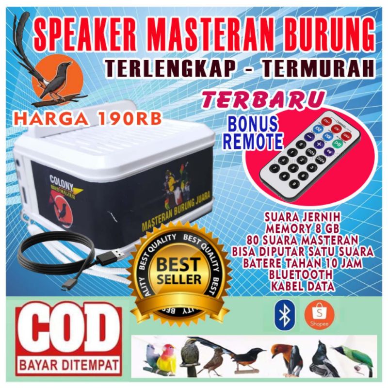 MP3 MASTERAN BURUNG