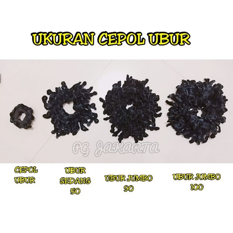 Cepol Rambut ikat cendol jurai