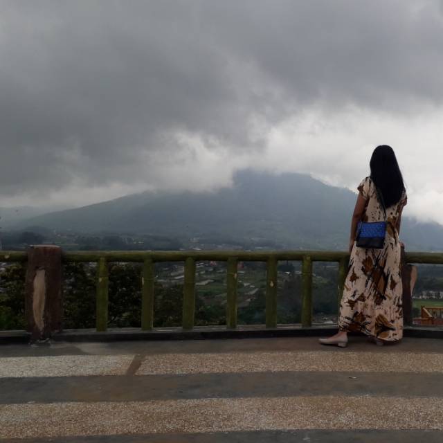 margarethaveniaerlini