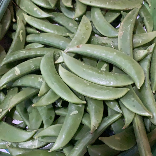 

Kapri manis