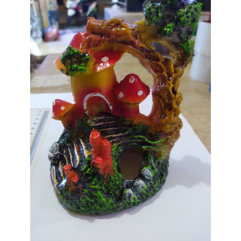 jamur hias aquarium