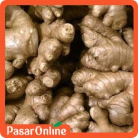 

Jahe Putih Kecil / Emprit - 300 gr