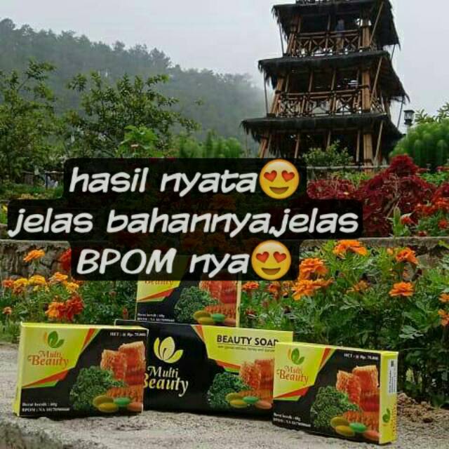MULTI BEAUTY SOAP (MBS)