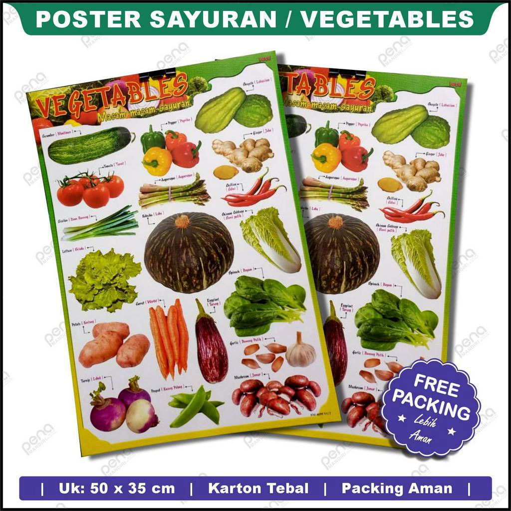 Poster Belajar Aneka Macam Sayuran / Poster Sayur