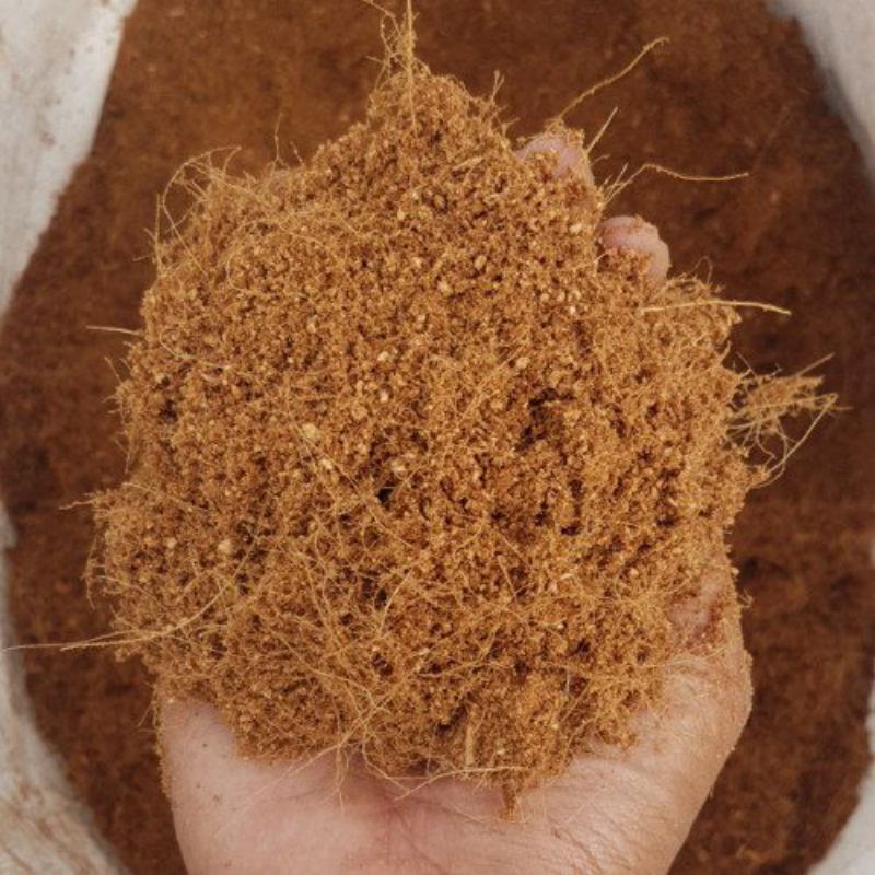 Cocopeat kering Berkualitas