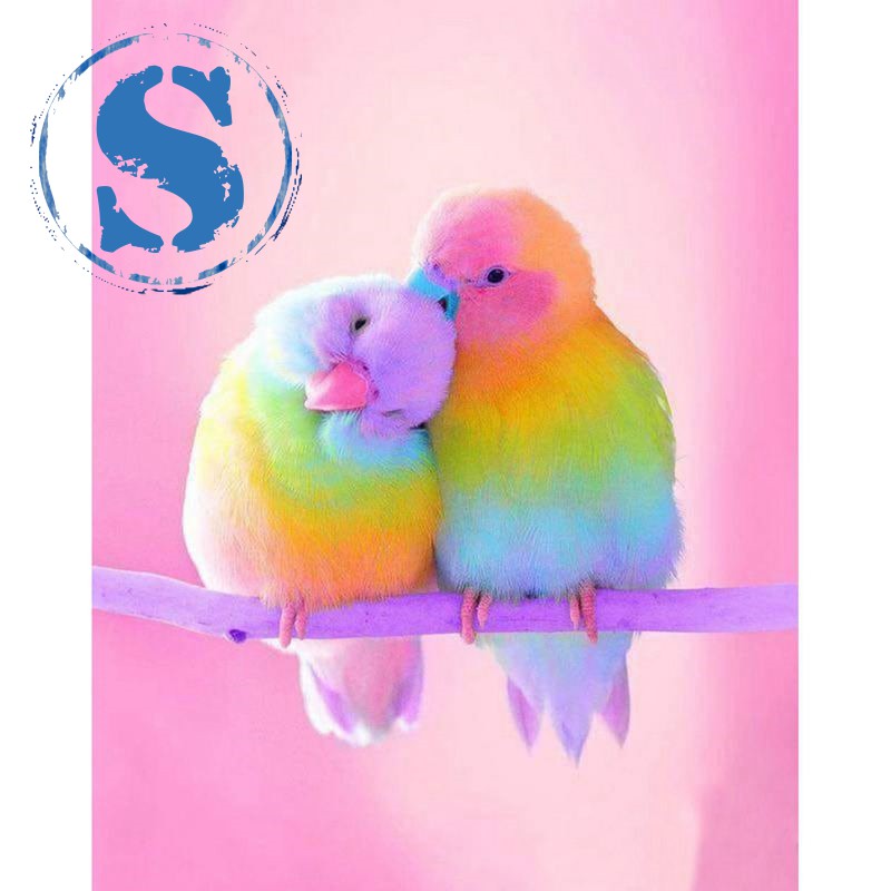 Diy Lukisan Diamond 5d Dengan Gambar Burung Nuri Dan Hiasan