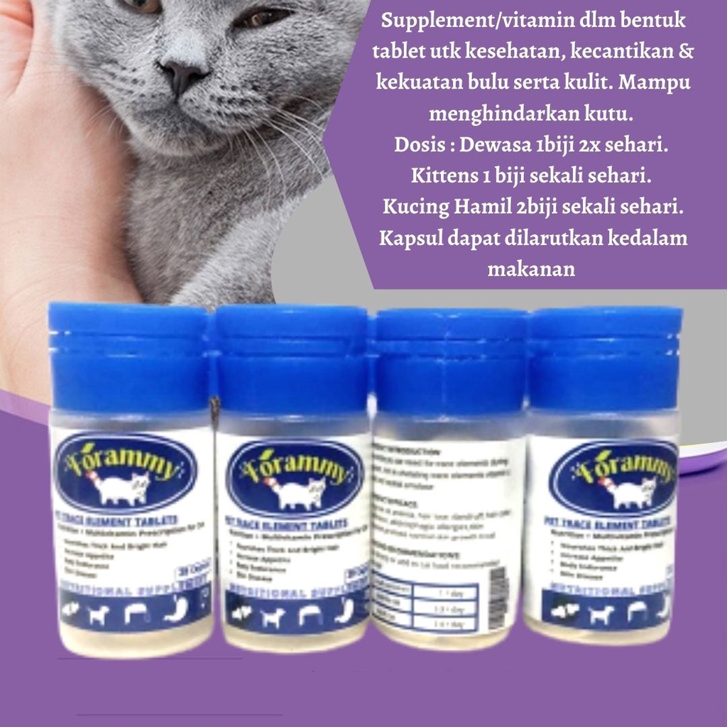 VITAMIN KUCING NAFSU MAKAN KURUS OBAT GEMUK KUCING SEHAT VITAMIN ANTIBODY FORAMMY FEZONE