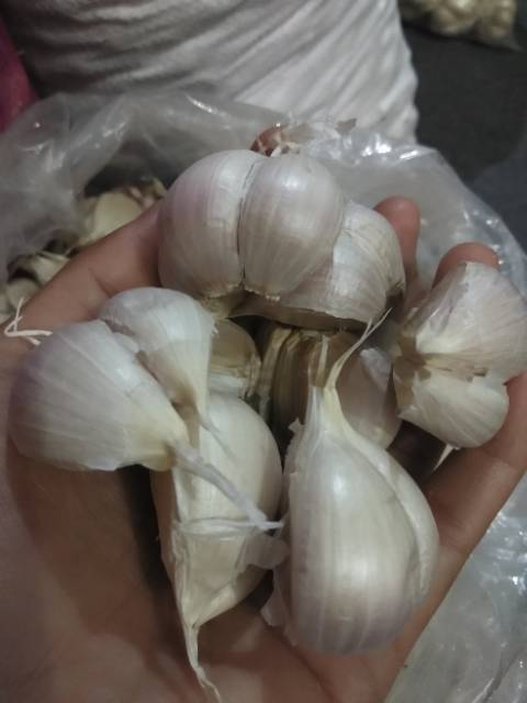 Bawang putih kating super  1kg