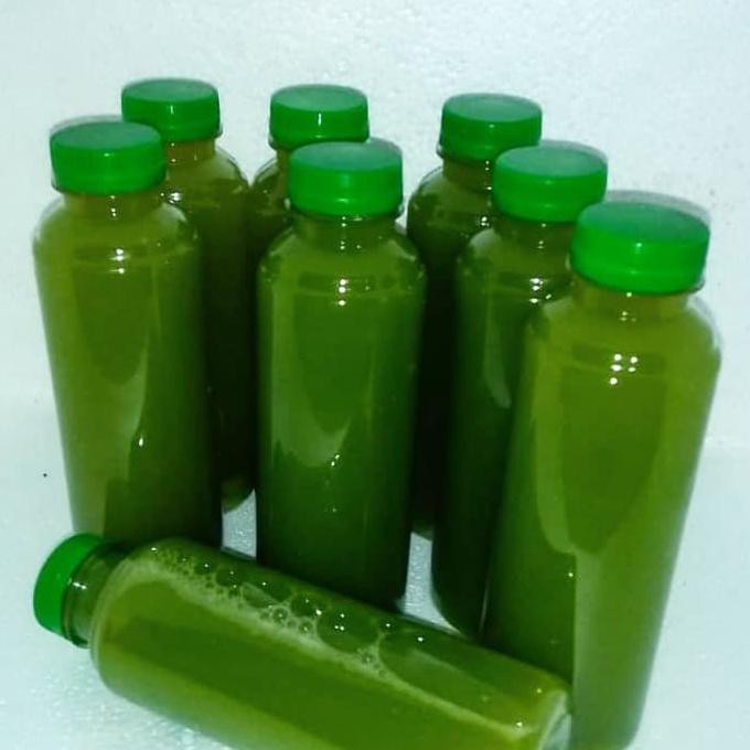 

Jus Seledri Murni (Pure Celery Juice) Botol 250 ml - Pure Celery
