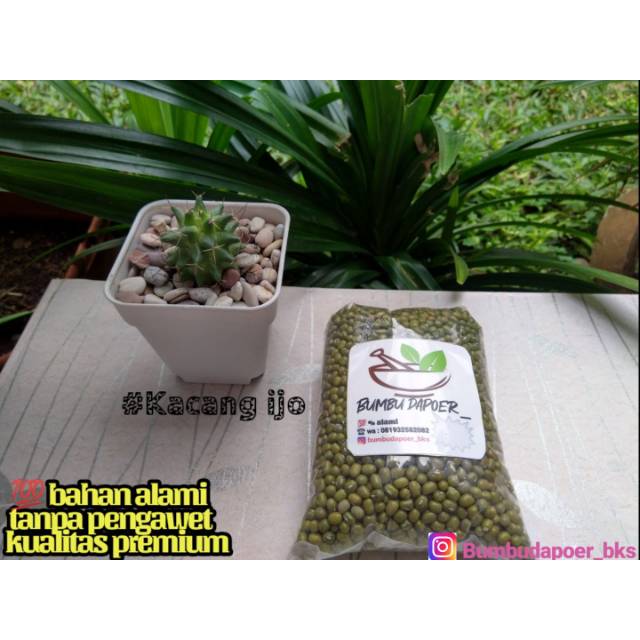 

Kacang ijo best premium