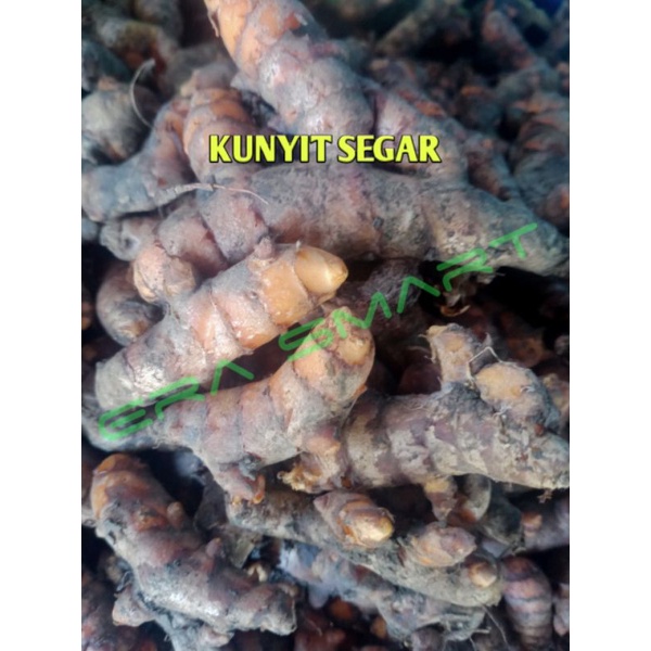 

KUNYIT SEGAR 250G