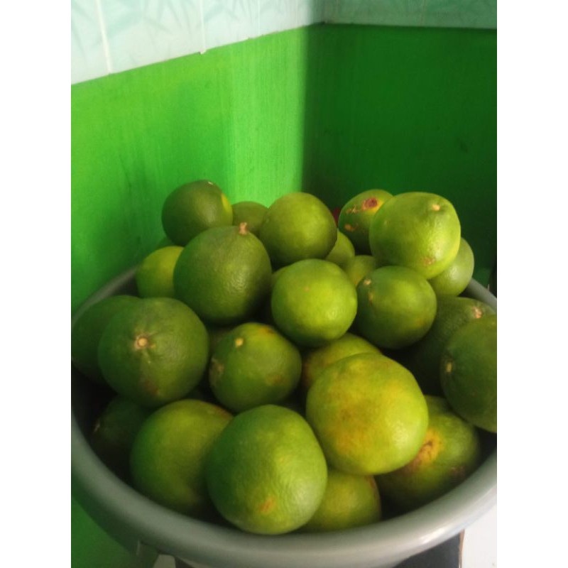 

Jeruk baby java murah /jeruk baby / MPASI / buah jeruk /jeruk1kg
