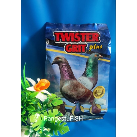 grit merpati asinan twister