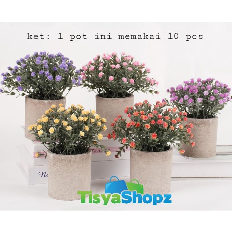 Baby Breath Mini Satuan [ 1 Pc Tanpa Pot ]