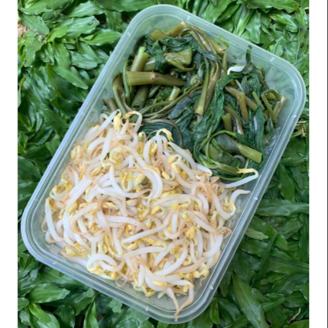 

Plecing kangkung