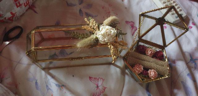 Ringbox Terrrarium Only Mini